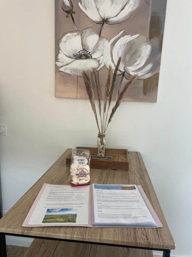 Bienvenue En Beaujolais Apartman Saint-Jean-dʼArdières Kültér fotó